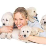 Curso de Pet Sitter