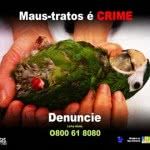 Maus Tratos a Animais - Denúncia