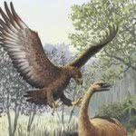 aguia-de-haast-150x150