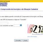 Consulta CNPJ