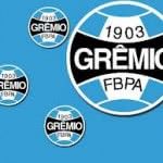 Fotos do Grêmio 2024