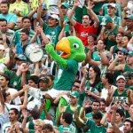 Assistir Jogo do Palmeiras Ao Vivo Agora