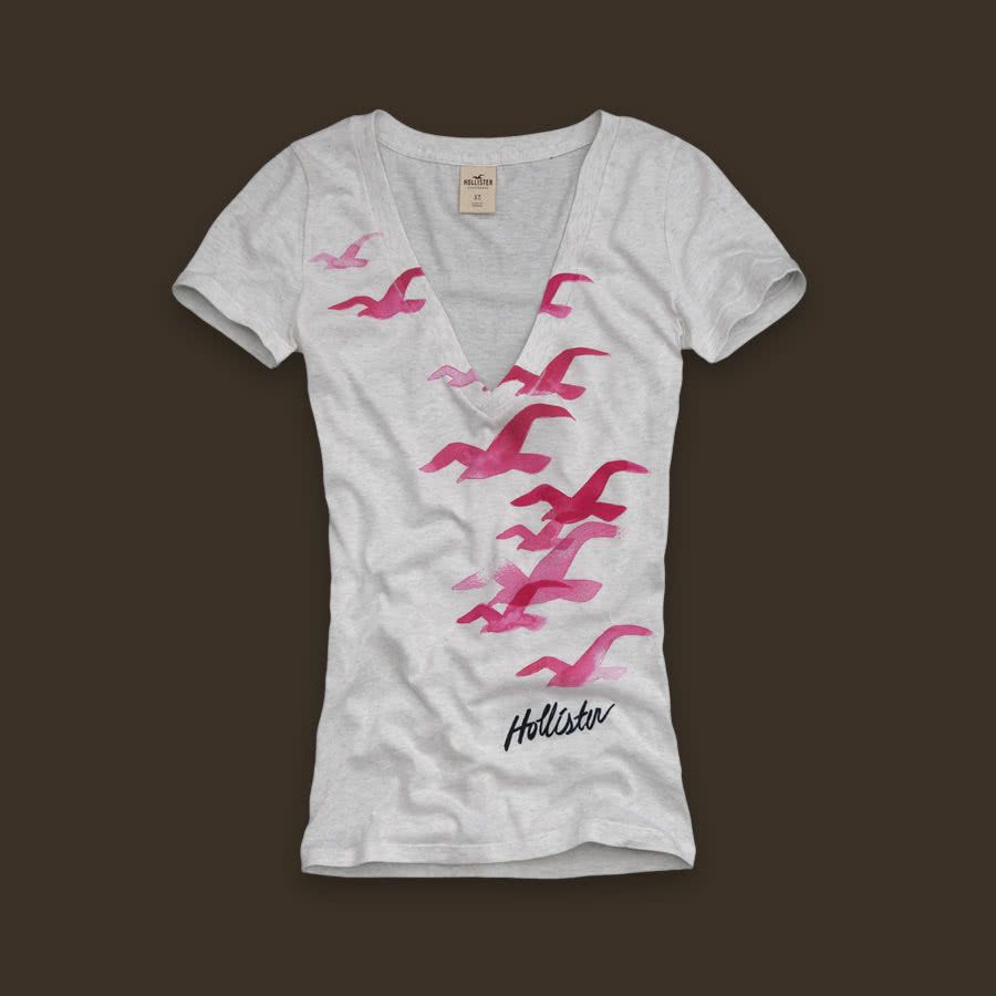 novas-camisetas-hollister-femininas-2024