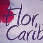 Novela Flor do Caribe - Elenco, Músicas