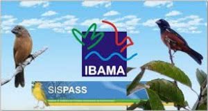 ibama-sispass-300x160
