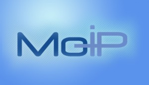 Moip-300x171