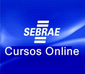 SEBRAE-Cursos-Online-300x259