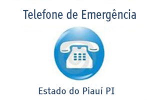 emergencia-pi-300x201