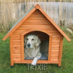 Casinha de cachorro - Fotos, Modelos