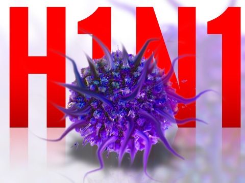 Gripe-H1N1
