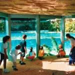 Acampamento Férias Julho