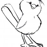 desenho-colorir-passarinho-aves-dicas-fotos-150x150