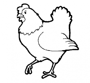 desenhos-de-aves-para-colorir-galinha-fotos-300x279