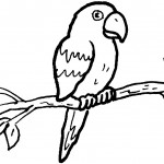 desenhos-de-aves-para-colorir-papagaio-fotos-modelos-pintar-150x150