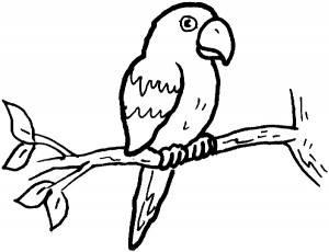 desenhos-de-aves-para-colorir-papagaio-fotos-modelos-pintar-300x230