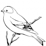 desenhos-de-passaros-aves-para-colorir-150x150