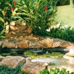 jardim-aquatico-em-casa-como-fazer-150x150