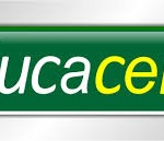 Cadastro Educacenso 2024