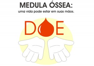 doacao-medula-ossea-300x212