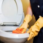 Como desentupir vaso sanitário com objeto preso dentro: dicas práticas