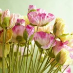 decoracao-flores-plastico-perfeitas-150x150