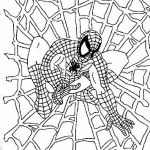 homem-aranha-para-colorir-desenhos-imprimir-modelos-150x150